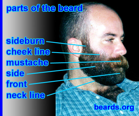 beard terminology photo