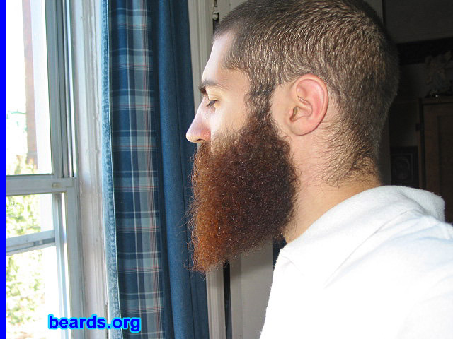 Dan's beard