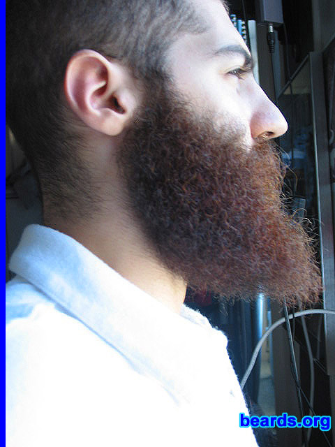 Dan's beard