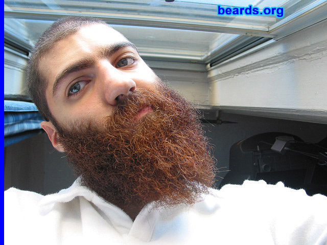 Dan's beard