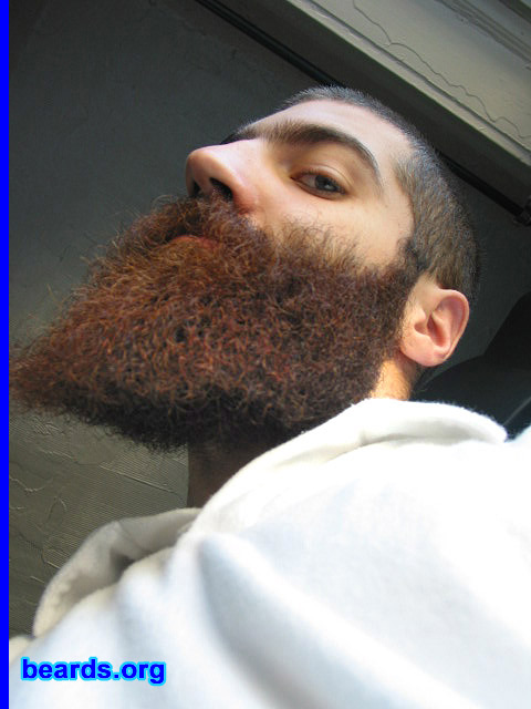 Dan's beard