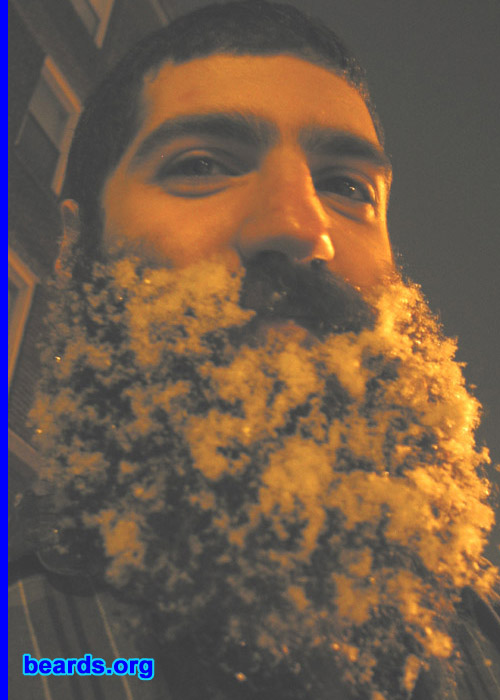 Dan's beard