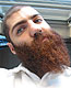 Dan's beard