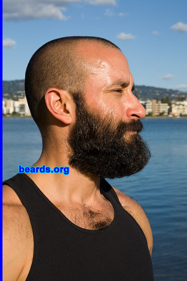 Chris
[b]Go to [url=http://www.beards.org/beard016.php]Chris' beard feature[/url][/b].
Keywords: full_beard
