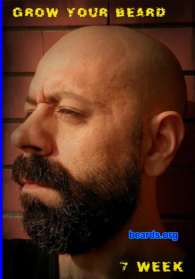 Federico T.
Bearded since: 2013.  I am an experimental beard grower.

Comments:
Why did I grow my beard? For me, no hair...
Keywords: full_beard