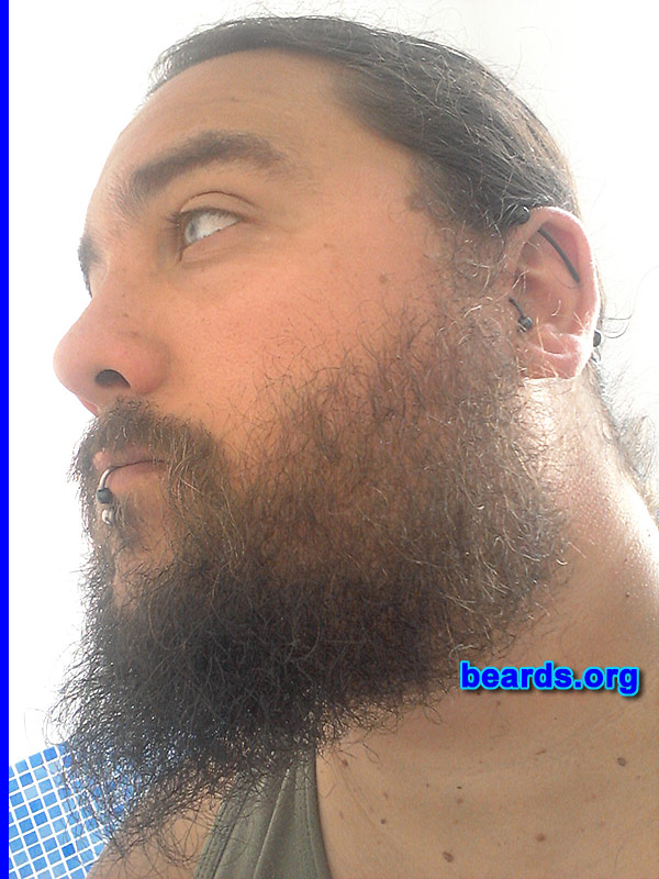 Dave S.
Bearded since: 2008. I am a dedicated, permanent beard grower.

Comments:
Why did I grow my beard? I originally started growing my beard to match my more metal and rock image.  But it has become much more than that now. I have tried many styles and I'm now going for a full beard. I couldn't ever imagine myself without a beard!

How do I feel about my beard? I like the length from my chin, but I'm having issues with the sides growing out and curly.  I'm hoping in a few months it will weigh down and look a little less "wild homeless man" and more full "god like" beard.
Keywords: full_beard