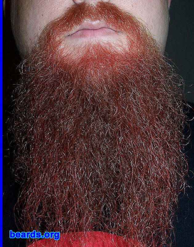 Joey O.
Bearded since: 1998. I am a dedicated, permanent beard grower.

Comments:
I grew my beard because I believe a man should always have a proper beard.

How do I feel about my beard? I love my beard. I don't know what I'd do without it.
Keywords: goatee_mustache