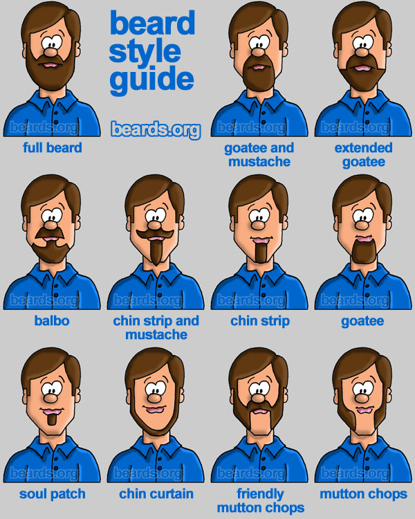 cartoon of different beard types