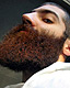 click to go to Dan's beard success story