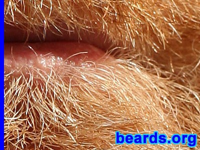 detail of Paulie's beard