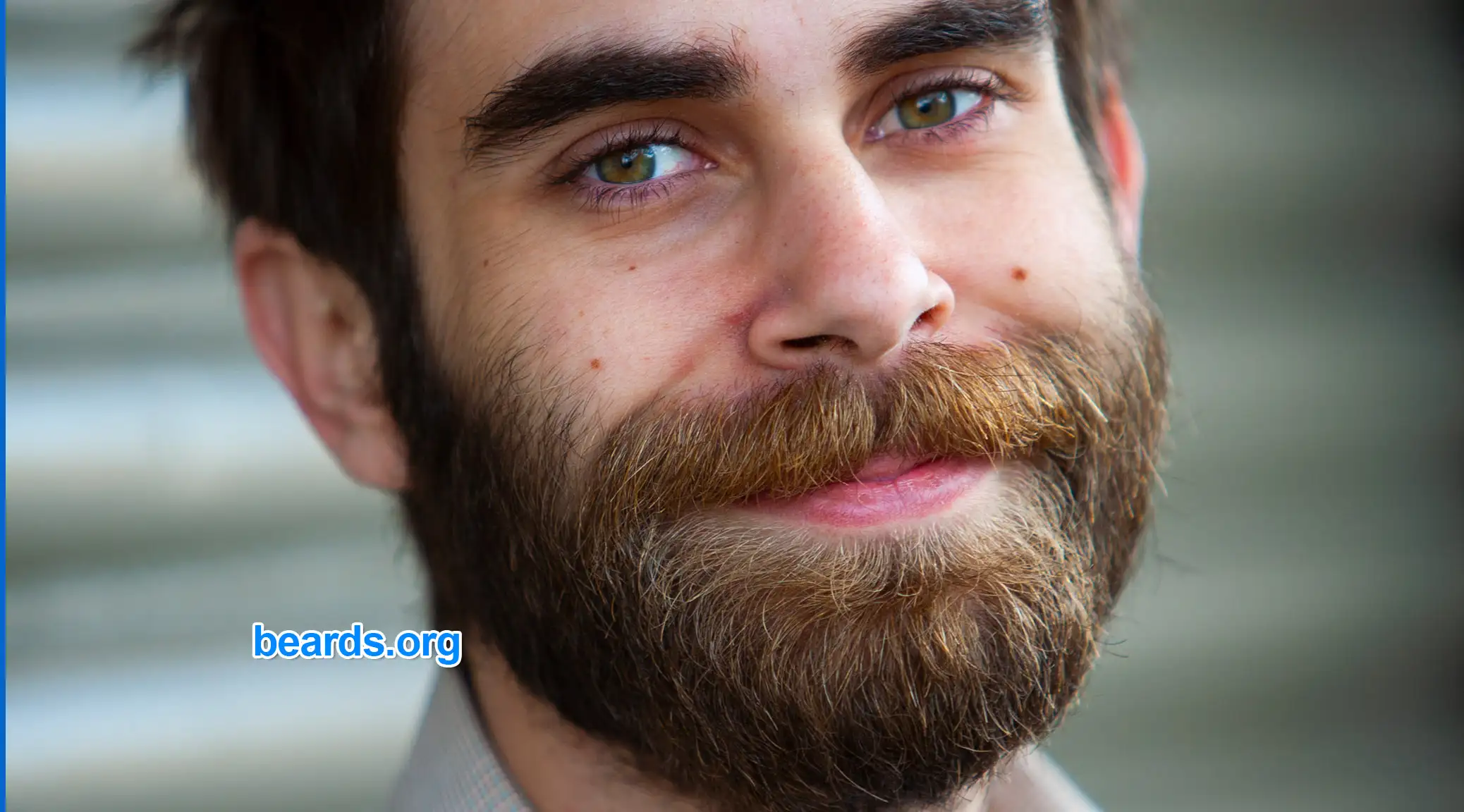 Beard All About Beards