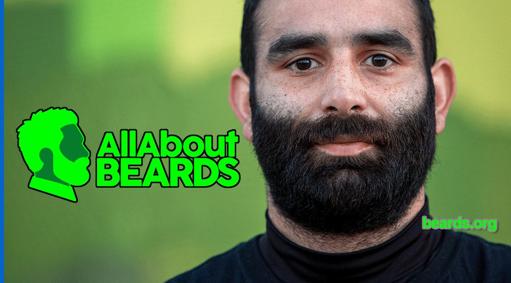 Blog All About Beards Beards Org