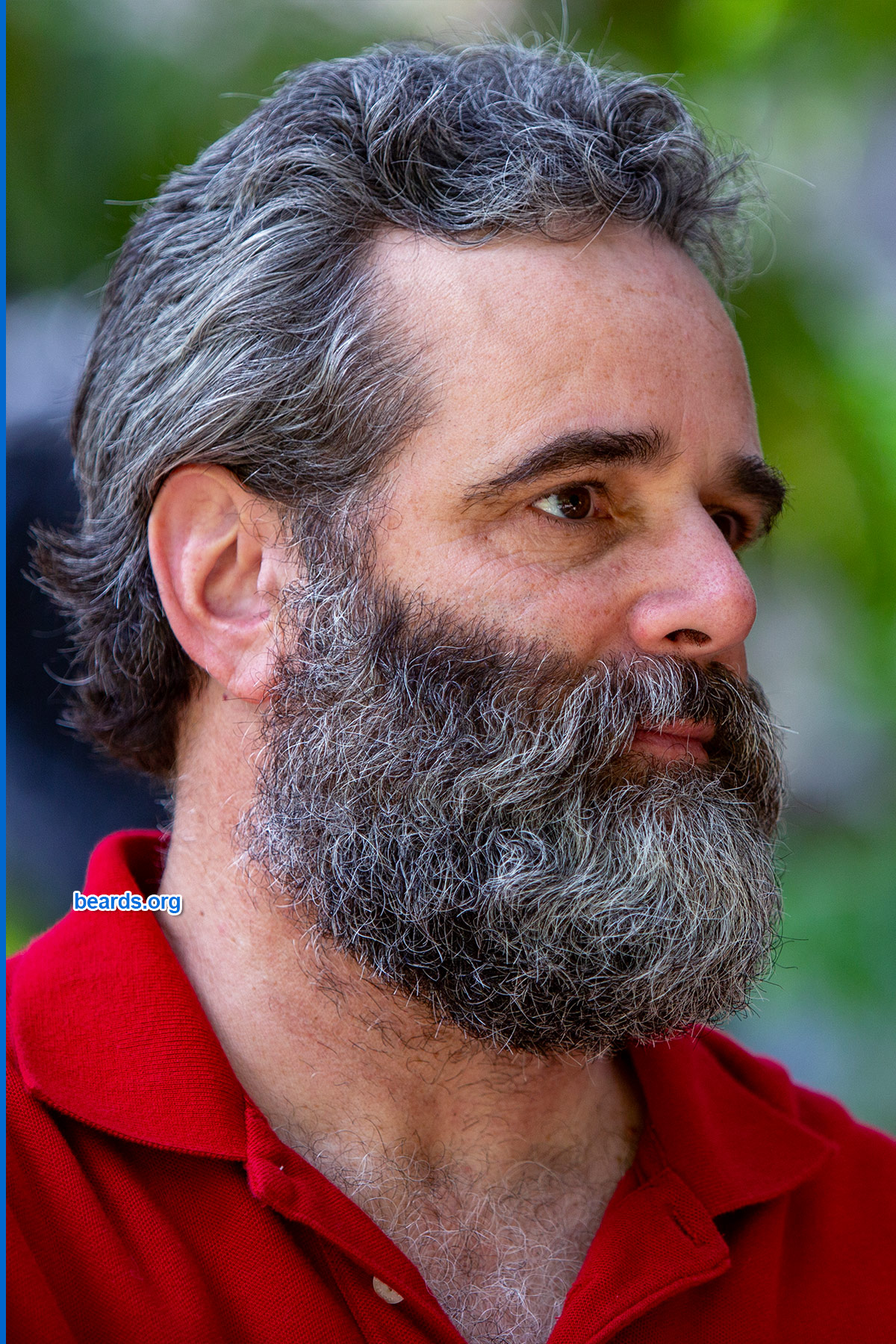 Blog | All About BEARDS | beards.org