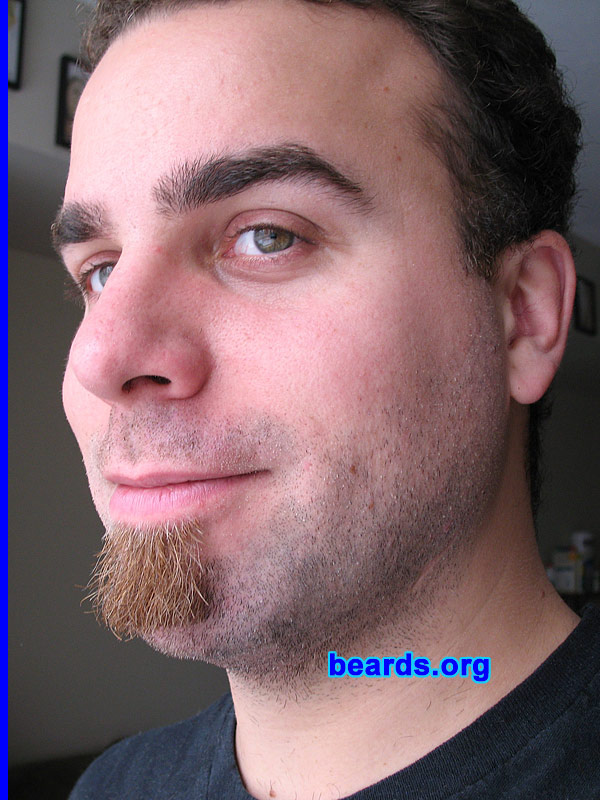 Dave with Soul Patch
[b]Go to [url=http://www.beards.org/dave.php]Dave's success story[/url][/b].
Keywords: Dave_style Dave.9 Dave_feature soul_patch goatee_only