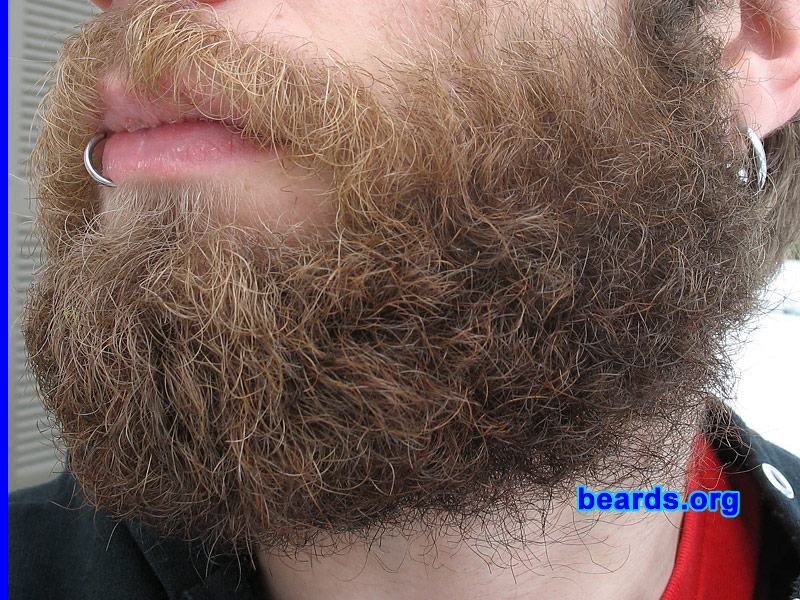 Andrew
[b]Go to [url=http://www.beards.org/beard07.php]Andrew's beard feature[/url][/b].
Keywords: full_beard