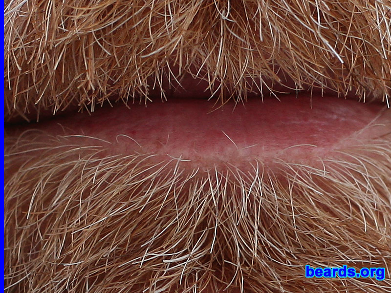 Paulie
[b]Go to [url=http://www.beards.org/beard08.php]Paulie's beard feature[/url][/b].
Keywords: full_beard