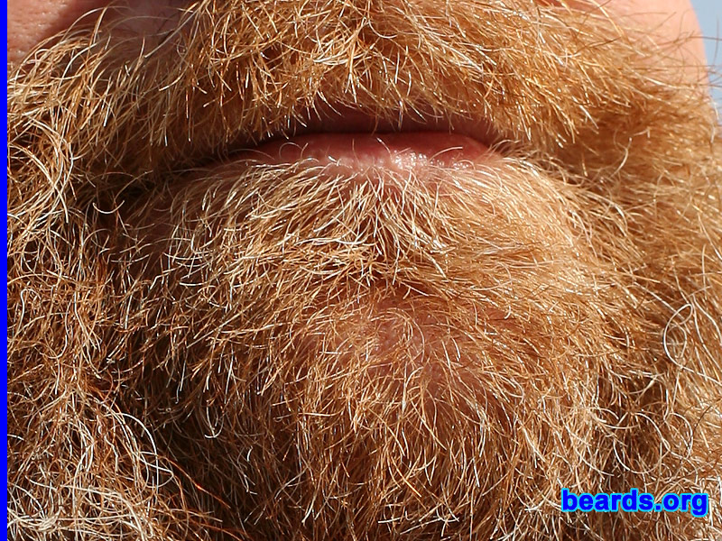 Paulie
[b]Go to [url=http://www.beards.org/beard08.php]Paulie's beard feature[/url][/b].
Keywords: full_beard