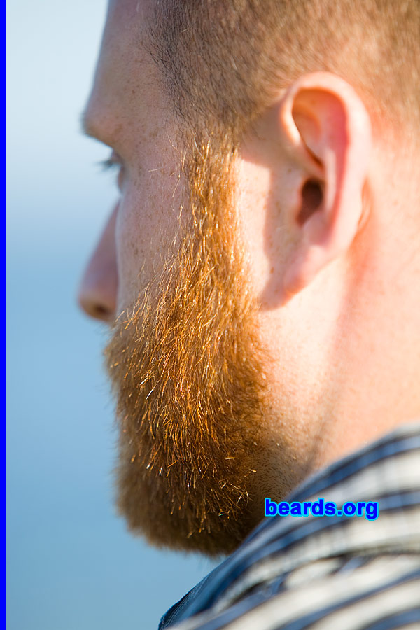 Brian
[b]Go to [url=http://www.beards.org/beard022.php]Brian's beard feature[/url][/b].
Keywords: full_beard