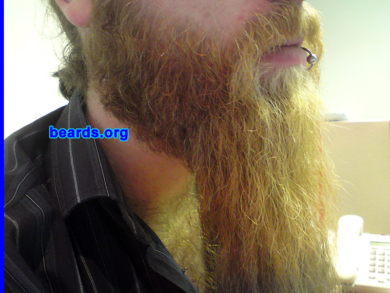 Tony
[b]Go to [url=http://www.beards.org/beard023.php]Tony's beard feature[/url][/b].
Keywords: full_beard