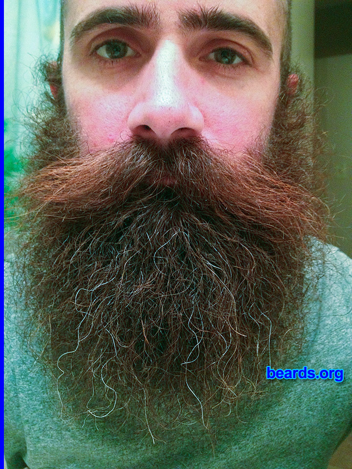 Timothy
[b]Go to [url=http://www.beards.org/beard051.php]Timothy's beard feature[/url][/b].
Keywords: full_beard