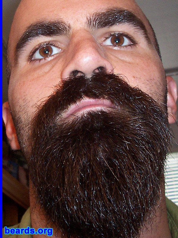 Salvatore
[b]Go to [url=http://www.beards.org/beard04.php]Salvatore: the goatee supremacy[/url][/b].
Keywords: goatee_mustache