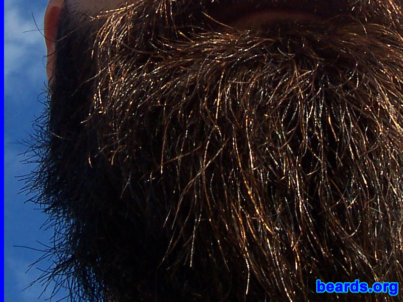 Salvatore
[b]Go to [url=http://www.beards.org/beard04.php]Salvatore: the goatee supremacy[/url][/b].
Keywords: full_beard