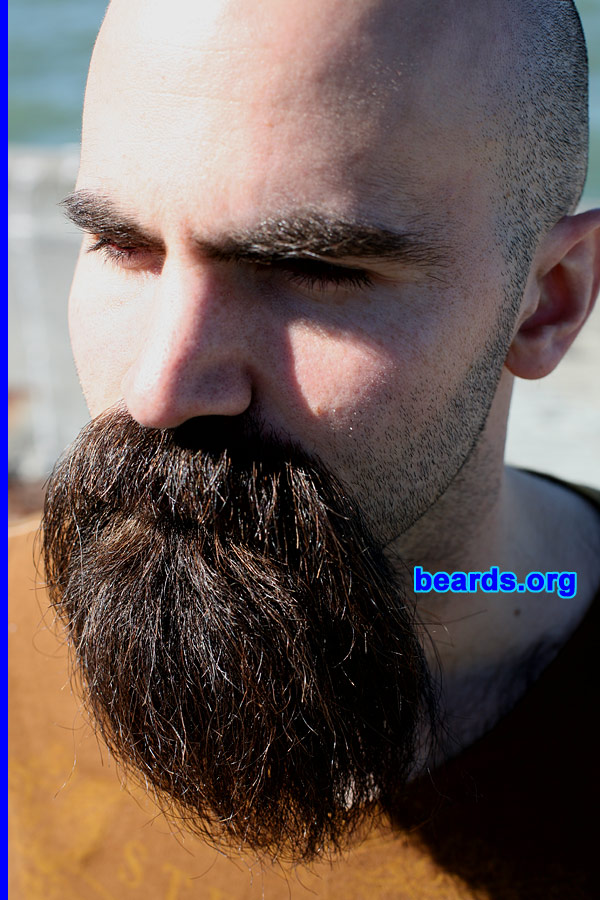 Salvatore
[b]Go to [url=http://www.beards.org/beard04.php]Salvatore: the goatee supremacy[/url][/b].
Keywords: goatee_mustache b4.20070219.02