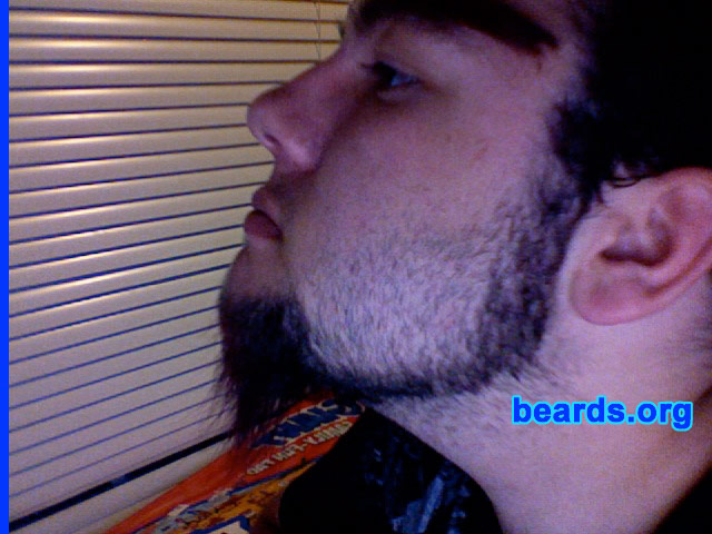 Preston A.
Bearded since: 2007.  I am a dedicated, permanent beard grower.

Comments:
I grew my beard because it was a project for science and it grew on me.

How do I feel about my beard?  Godly.
Keywords: chin_curtain