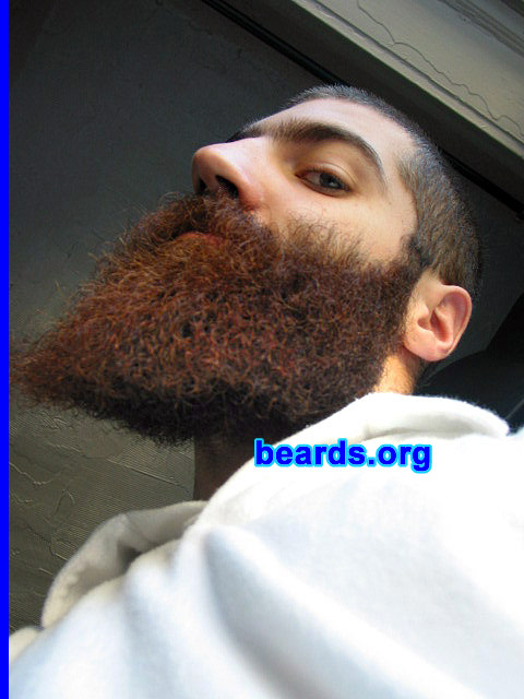 Dan
[b]Go to [url=http://www.beards.org/dan.php]Dan's success story[/url][/b].
Keywords: full_beard