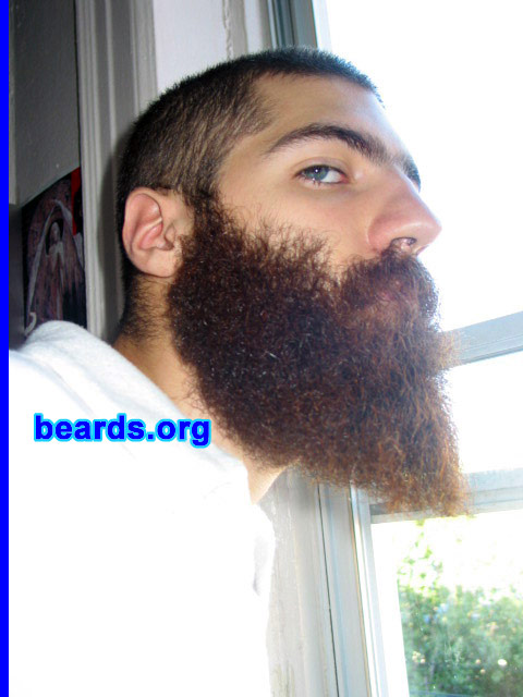 Dan
[b]Go to [url=http://www.beards.org/dan.php]Dan's success story[/url][/b].
Keywords: dan.002 full_beard