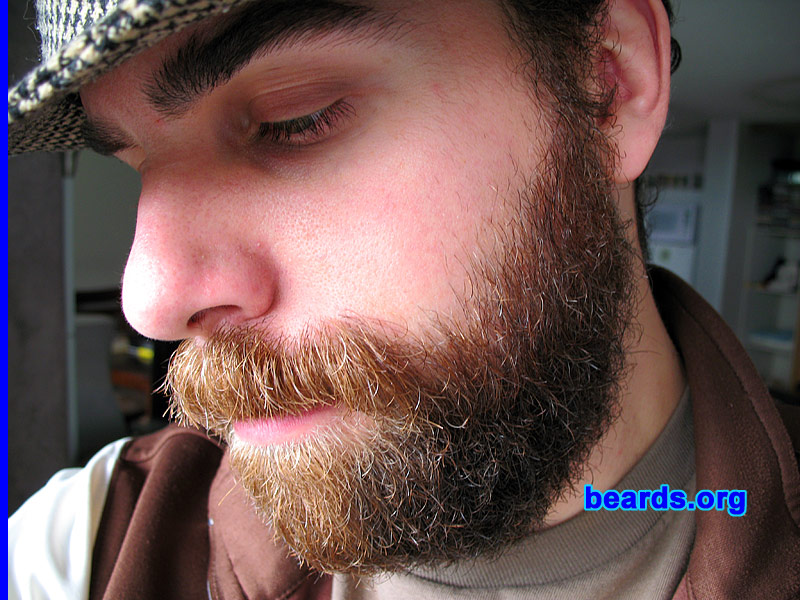 Dave
[b]Go to [url=http://www.beards.org/dave.php]Dave's success story[/url][/b].
Keywords: Dave.2 Dave_feature full_beard