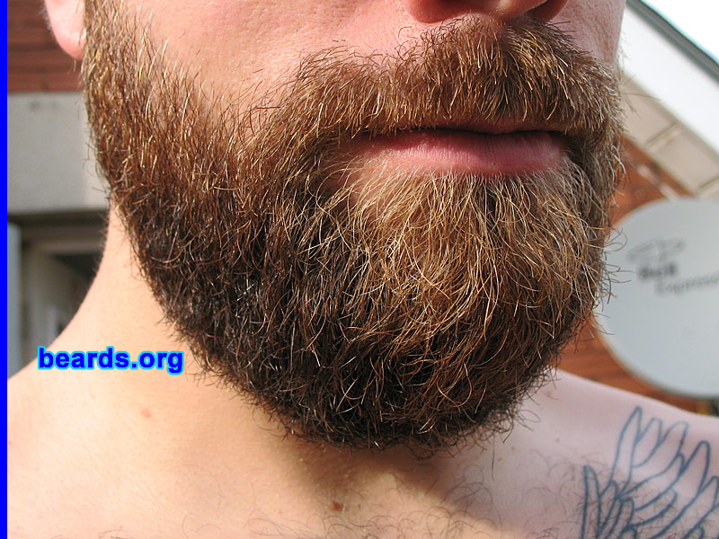 Dave
[b]Go to [url=http://www.beards.org/dave.php]Dave's success story[/url][/b].
Keywords: Dave.3 Dave_feature full_beard