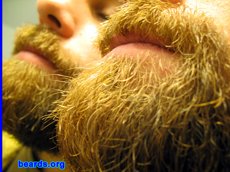 Dave
[b]Go to [url=http://www.beards.org/dave.php]Dave's success story[/url][/b].
Keywords: Dave.5 Dave_feature full_beard