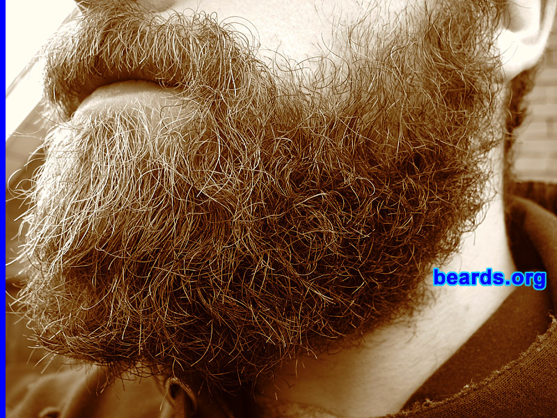 Dave
[b]Go to [url=http://www.beards.org/dave.php]Dave's success story[/url][/b].
Keywords: Dave.6 Dave_feature full_beard