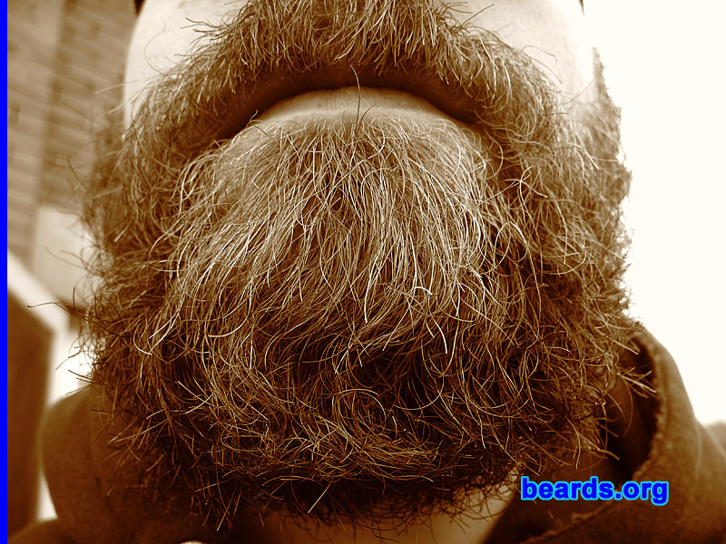 Dave
[b]Go to [url=http://www.beards.org/dave.php]Dave's success story[/url][/b].
Keywords: Dave.6 Dave_feature full_beard