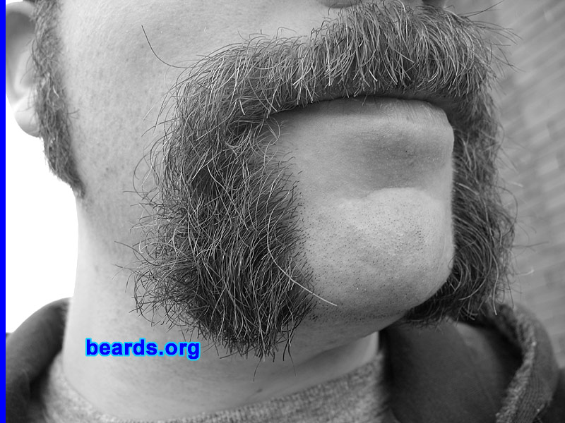 Dave
[b]Go to [url=http://www.beards.org/dave.php]Dave's success story[/url][/b].
Keywords: Dave.7 Dave_feature