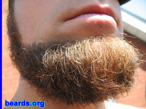 Dave
[b]Go to [url=http://www.beards.org/dave.php]Dave's success story[/url][/b].
Keywords: Dave.7 Dave_feature chin_curtain