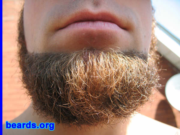 Dave
[b]Go to [url=http://www.beards.org/dave.php]Dave's success story[/url][/b].
Keywords: Dave.7 Dave_feature chin_curtain