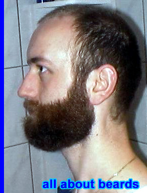 David
David's beard continues to thicken.

[b]Go to [url=http://www.beards.org/david.php]David's success story[/url][/b].
Keywords: full_beard