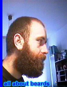 David
David's beard starts getting bigger and longer.

[b]Go to [url=http://www.beards.org/david.php]David's success story[/url][/b].
Keywords: full_beard