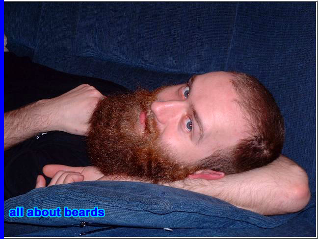 David
David relaxes for a moment while growing his bigger and longer beard.

[b]Go to [url=http://www.beards.org/david.php]David's success story[/url][/b].
Keywords: full_beard
