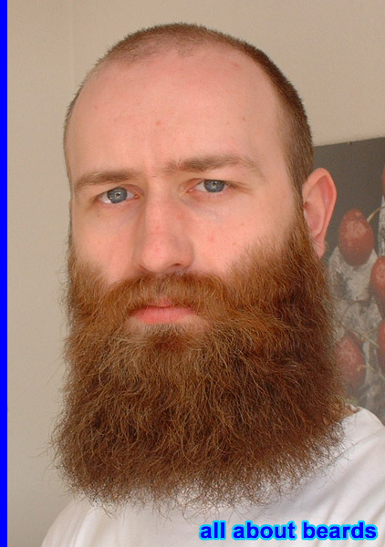 David
David's beard has grown bigger and longer.

[b]Go to [url=http://www.beards.org/david.php]David's success story[/url][/b].
Keywords: full_beard