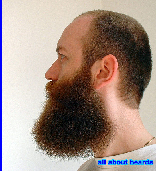 David
A look at the increasing bulk of David's big full beard.

[b]Go to [url=http://www.beards.org/david.php]David's success story[/url][/b].
Keywords: full_beard