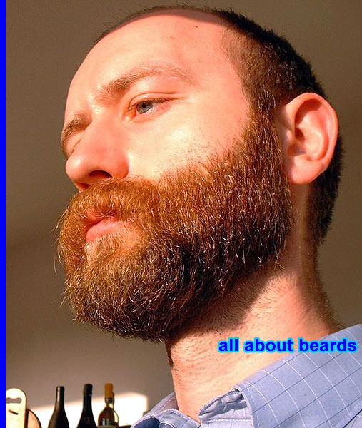 David
This photo shows off the high quality of David's beard.

[b]Go to [url=http://www.beards.org/david.php]David's success story[/url][/b].
Keywords: full_beard