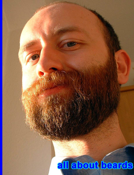 David
David's excellent beard.

[b]Go to [url=http://www.beards.org/david.php]David's success story[/url][/b].
Keywords: full_beard