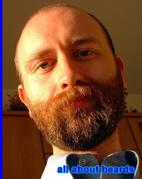 David
David's abundant and excellent beard.

[b]Go to [url=http://www.beards.org/david.php]David's success story[/url][/b].
Keywords: full_beard