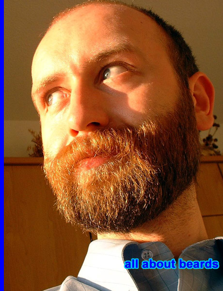 David
David's excellent beard bathed in sunlight.

[b]Go to [url=http://www.beards.org/david.php]David's success story[/url][/b].
Keywords: full_beard