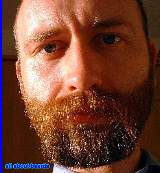 David
A most excellent beard!

[b]Go to [url=http://www.beards.org/david.php]David's success story[/url][/b].
Keywords: full_beard