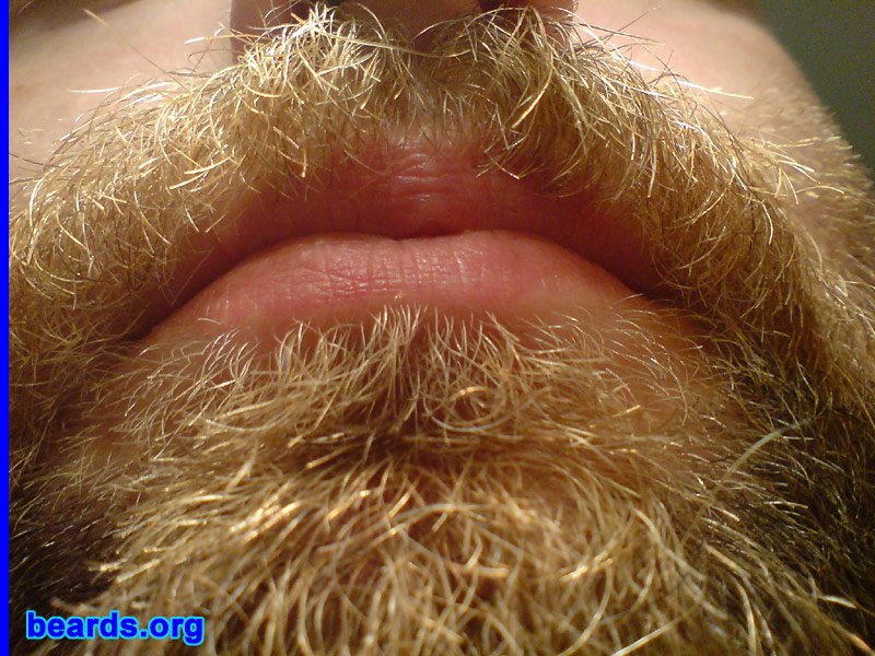 David
beard closeup

[b]Go to [url=http://www.beards.org/david.php]David's success story[/url][/b].
Keywords: dl.2006 macro full_beard