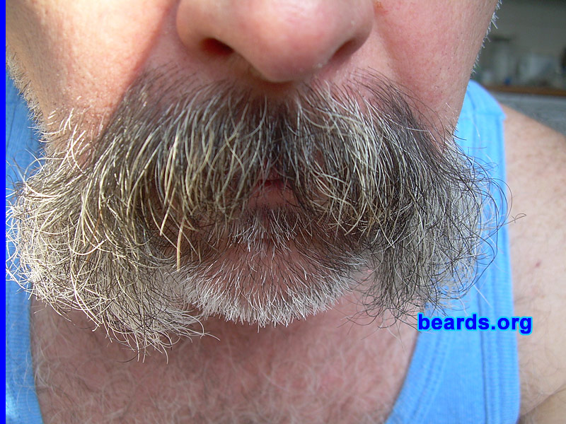 Berny
Keywords: full_beard
